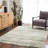 Rectangle Rokicki Area Rug-84419384