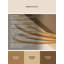 Tapis beige asperge Higgins moderne lavable à la machine - reliure beige-1566137333