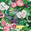 Tissu en velours de dragon de chiang mai-69585643