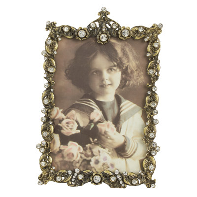 Alexandrea Silver and Gold Single Picture Frame