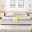 Structure de lit tapissier très grand, beige, chenille épaisse, tête de lit confortable et tiroirs pour la gestion de l'espace avec tissu en chenille, tête de lit, rangement solide