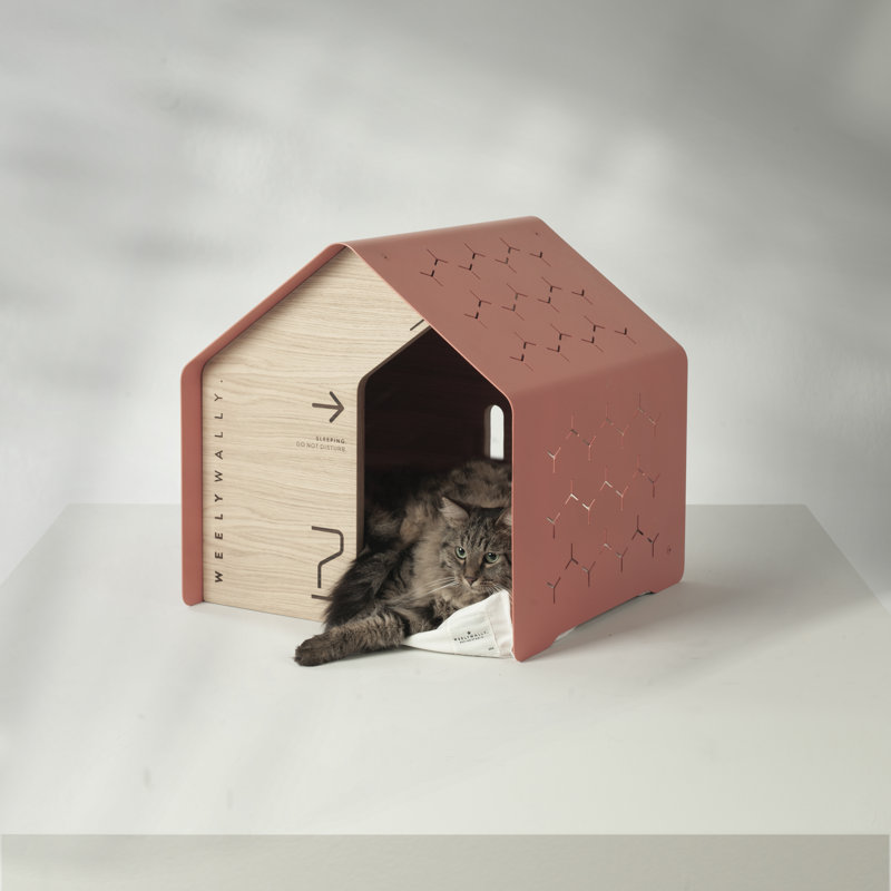 Dog House