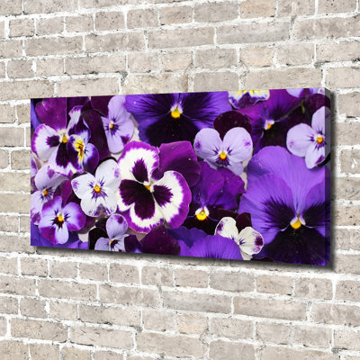 Pansies - Wrapped Canvas Print