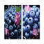 Mauve et bleu Blueberry Bliss II - fruits, ensemble de 2 reproductions d'art en métal-944390097