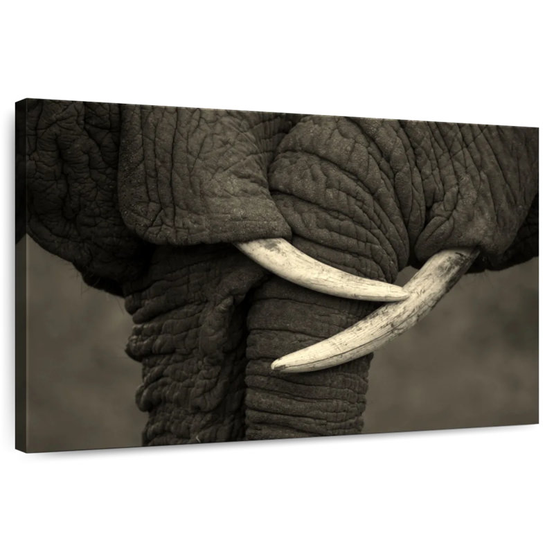 Brampt Elephants Tusk To Tusk, 24" H x 36" W