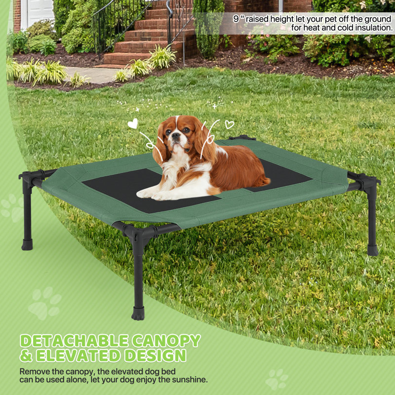 Lit surélevé pour chien avec auvent, lit pour chien d'extérieur avec tente à abat-jour amovible, lit pour animal surélevé