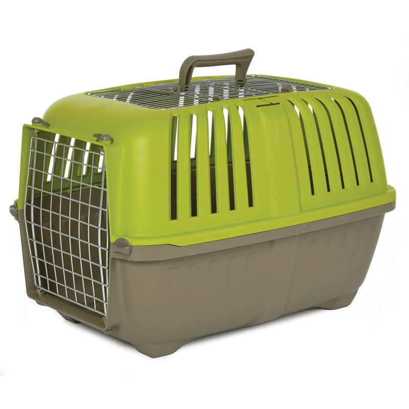 24" Double Doortravel Carrier Green, Green