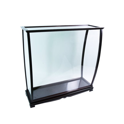 Anketell 31.5'' H x 34'' W Wood Trophy Display Case