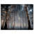 Gallery Wrapped n'est pas disponible