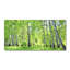 50cm W x 100cm L Glass Peel and Stick Panel