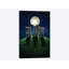 « moon shadows », impression sur toile tendue-34982327-72415203-72415343