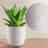 Ceramic Pot Planter-1067193445