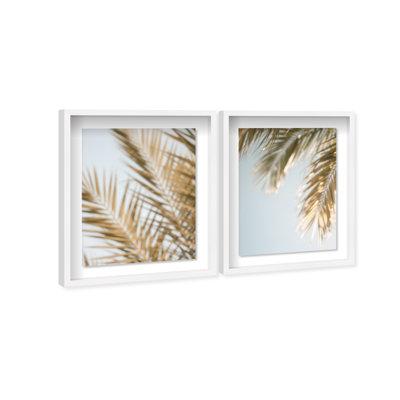 Palm Visions Set Shadowbox Floral & Botanical Print by Oliver Gal, Black Frame, 16 x 20