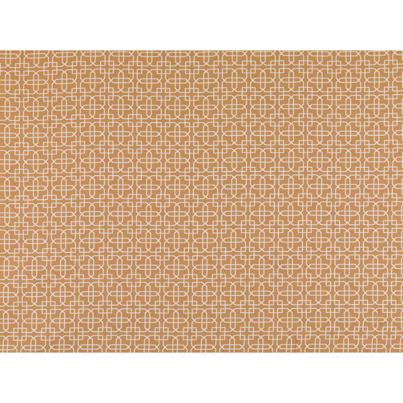 Tissu Addison All Purpose, Citrouille