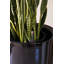 Self Watering Plastic Pot Planter-599591602