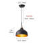 Luminaire suspendu 1 lumière DEL avec détails-1001563917