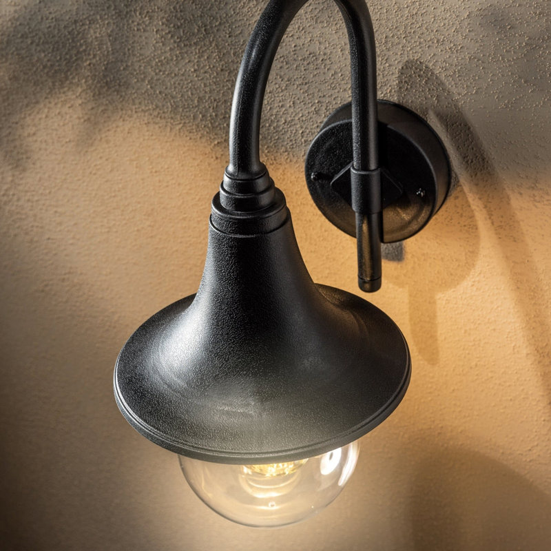 Chacon 41cm H Outdoor Wall Lantern