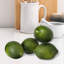 Remplissage de vase 3 po Limes 