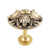 Renaissance Gold selected