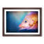 Pink Snapper Fish - Picture Frame Painting Print-55584079-55584083