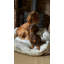 Orleans Animal Print Polyester Pet Bed-1329020499