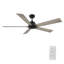  Ventilateur de plafond 60 po à courant continu noir sans lumière, télécommande-630970320