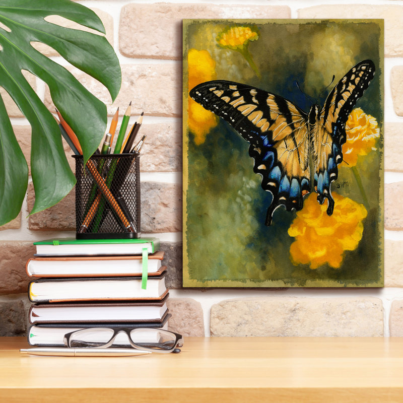 «Ariad Delicate Belle on Canvas» par Barbara Keith, reproduction, H 16 po x l 12 po x P 0,75 po