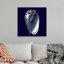 « Indigo shells V » par vision studio-impression-567973459-567973487