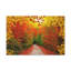 No Frame Print on Canvas-51953424