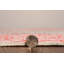 Tapis ivoire et corail Madelyn-1680370842