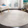 Calidia Oriental Light Gray/Cream Area Rug