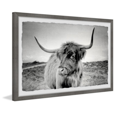 Away from Herd 1 Piece Single Picture Frame Wall Art