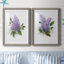Lilac Romance I - ensemble de 2 reproductions-1072650517-1072650522-999796225