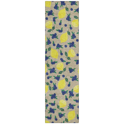 Machine Washable Indoor/Outdoor Chantille ACN2354 Fruits Rug