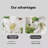 Polyester Shower Curtain-567781605