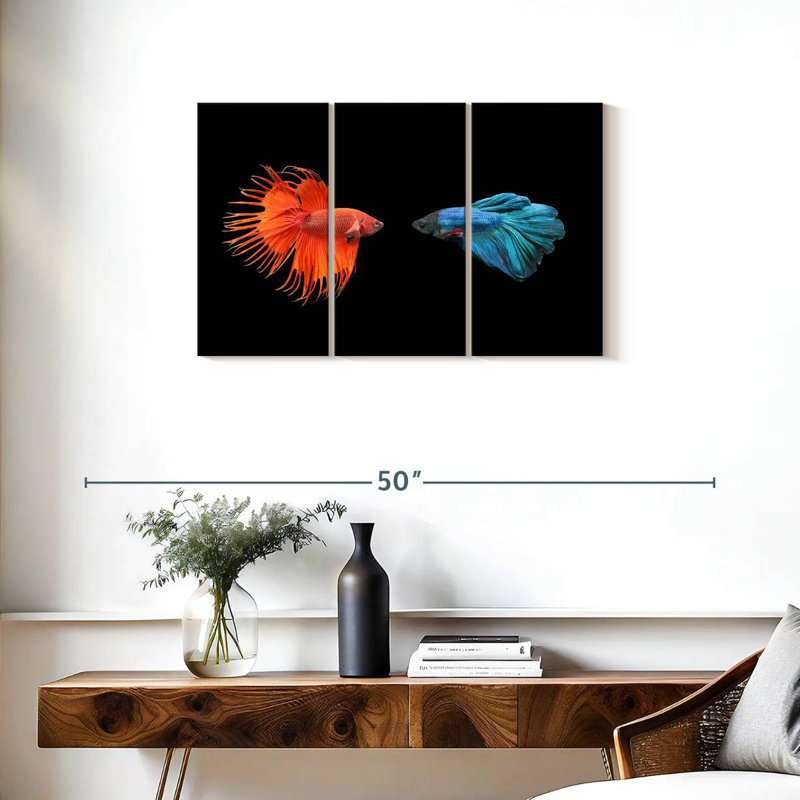 Brampt Betta Fish Meet, 20" H x 33" W