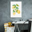 «August Grove» Summer Lemons I par Courtney Prahl, art mural sur toile-890095523