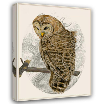 Art sur toile tendue, Astoria Grand Wang, Melissa, titré: Barred Owl II