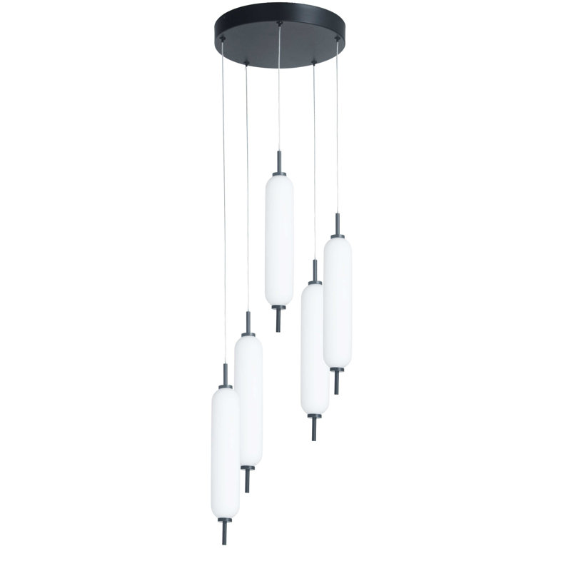 Luminaire suspendu multicolore à DEL 5 lumières Typha, Noir mat