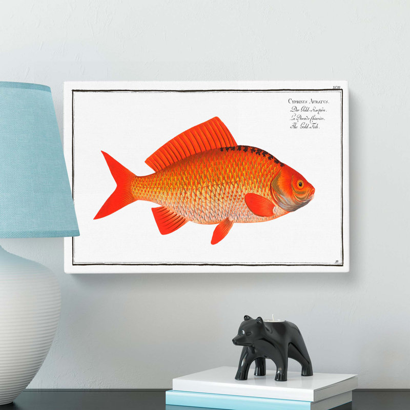 Goldfish by M.E. Bloch - Wrapped Canvas, 35cm H x 50cm W x 3cm D