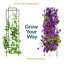 Abellas-Bauzo 2pc Steel Trellis-115503346