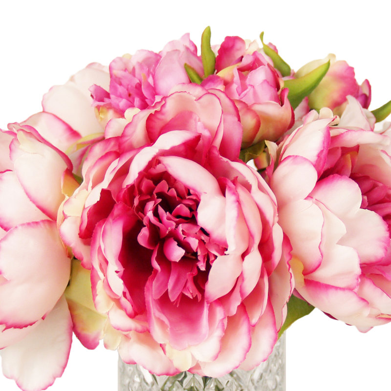 Pivoines disposées dans un vase en verre, Rose
