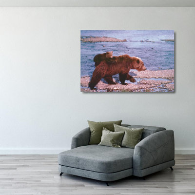 Brown Bear Carrying Cub, Alaska
