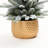 1.5Ft Flocked Artificial Tree Potted