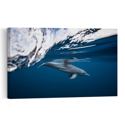Underwater Dolphin Swim Peaceful Serene Tranquil Dolphin Nature Ocean Wall Art Print 1 Piece Wrapped Canvas Wall Art