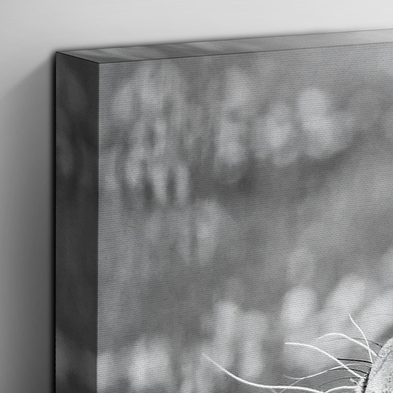 Tiger Photographic - Wrapped Canvas, 35cm H x 50cm W