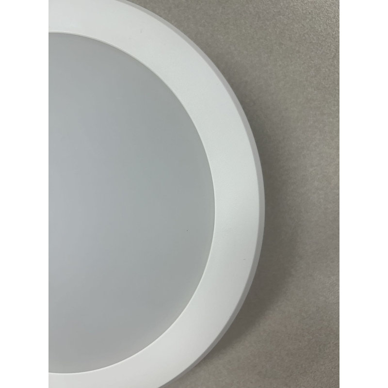Dimmable Round Flush Mount