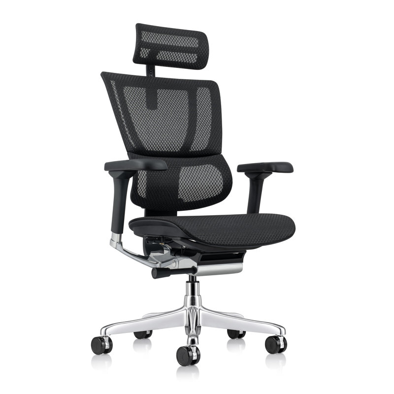 Ergohuman ME2ERG-XTREME High Back Mesh Office Chair, Black