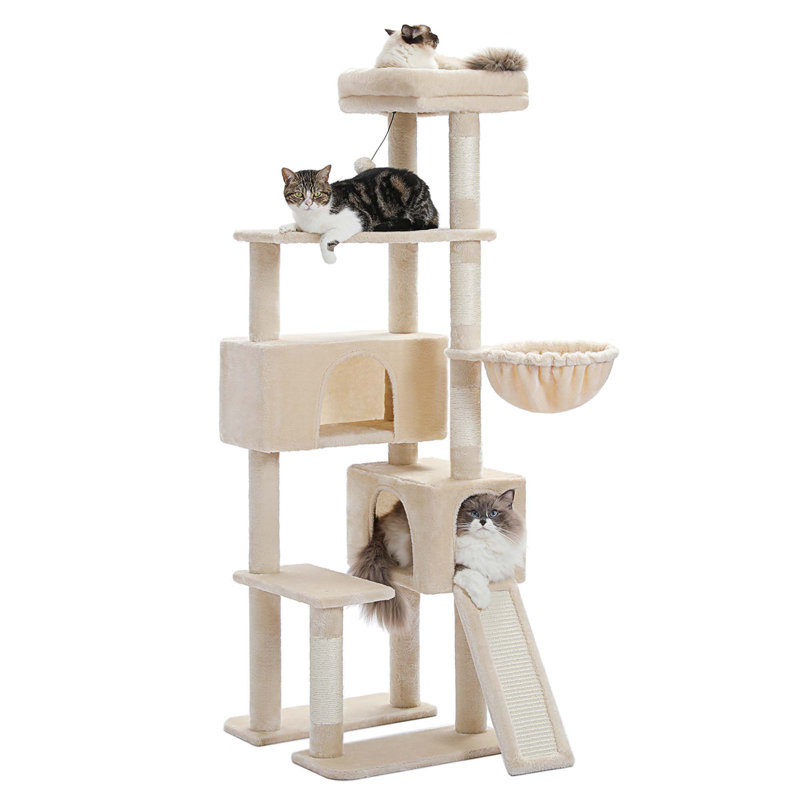 Grand arbre à chat, Beige