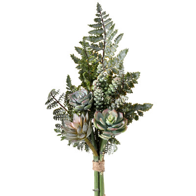 Arrangement floral succulent et fougère
